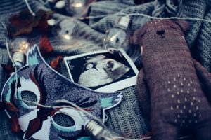 morfologie prim trimestru ploiesti