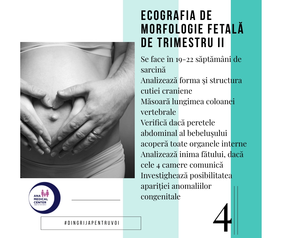 morfologie trimestru 2 pret