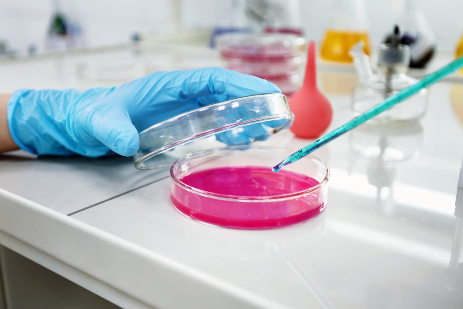 genotipare hpv in ploiesti tulpini care provoaca cancer