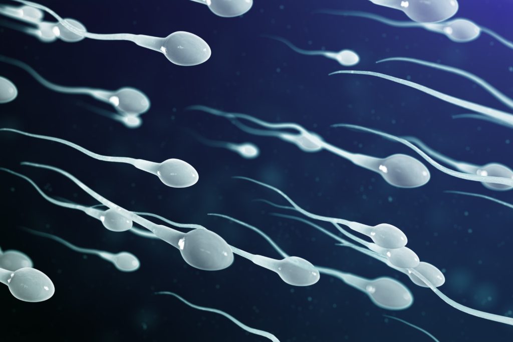 calitatea spermei si scaderea numarului de spermatozoizi