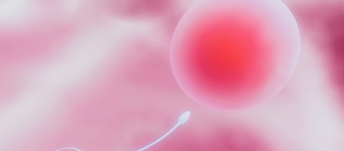 FIV cu ovocite donate-carefertility.com